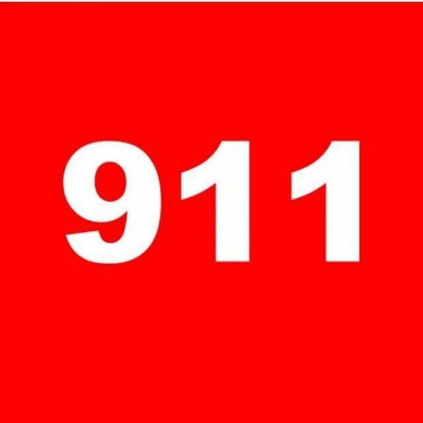 Логотип компании Ремонт Рено Премиум Ангел 911